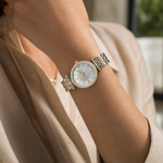Ambrosiana Chic - Argento